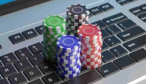 Discover the joy of free online casino