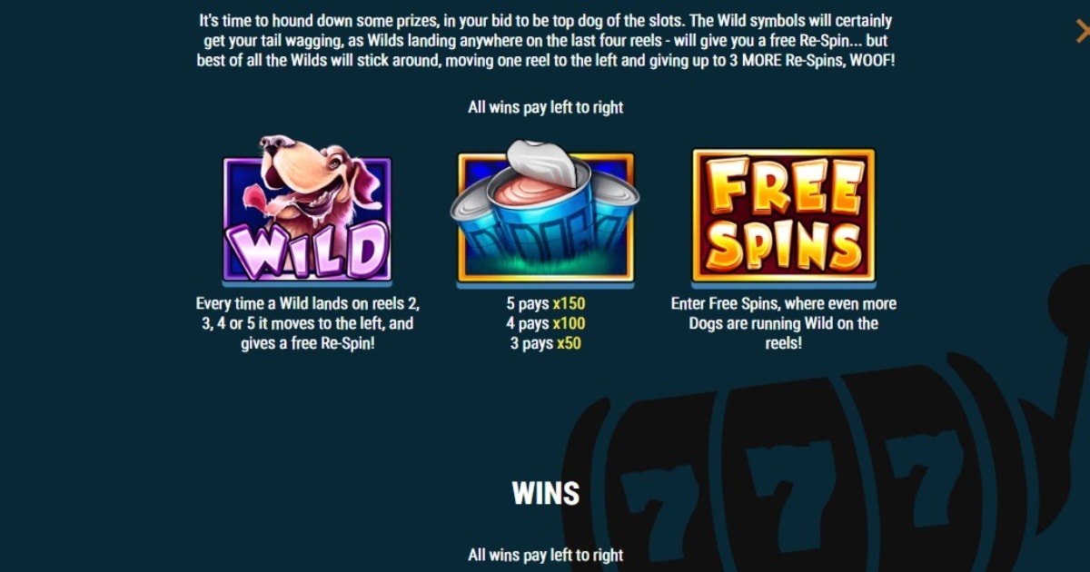 Wild Dog slot features