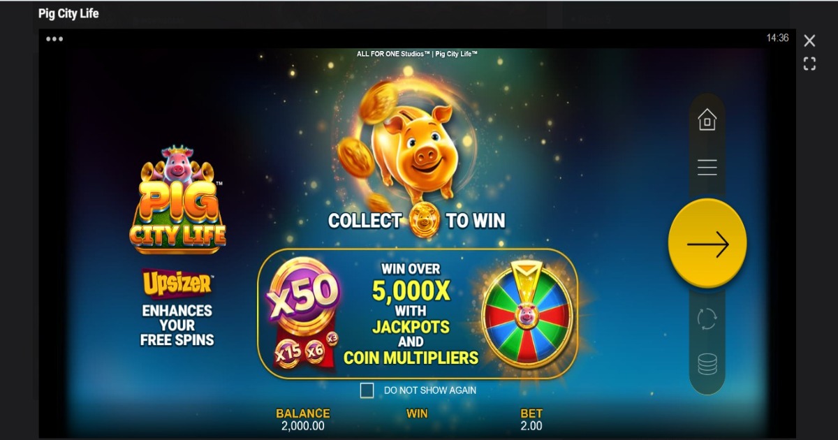 Pig City Life slot features