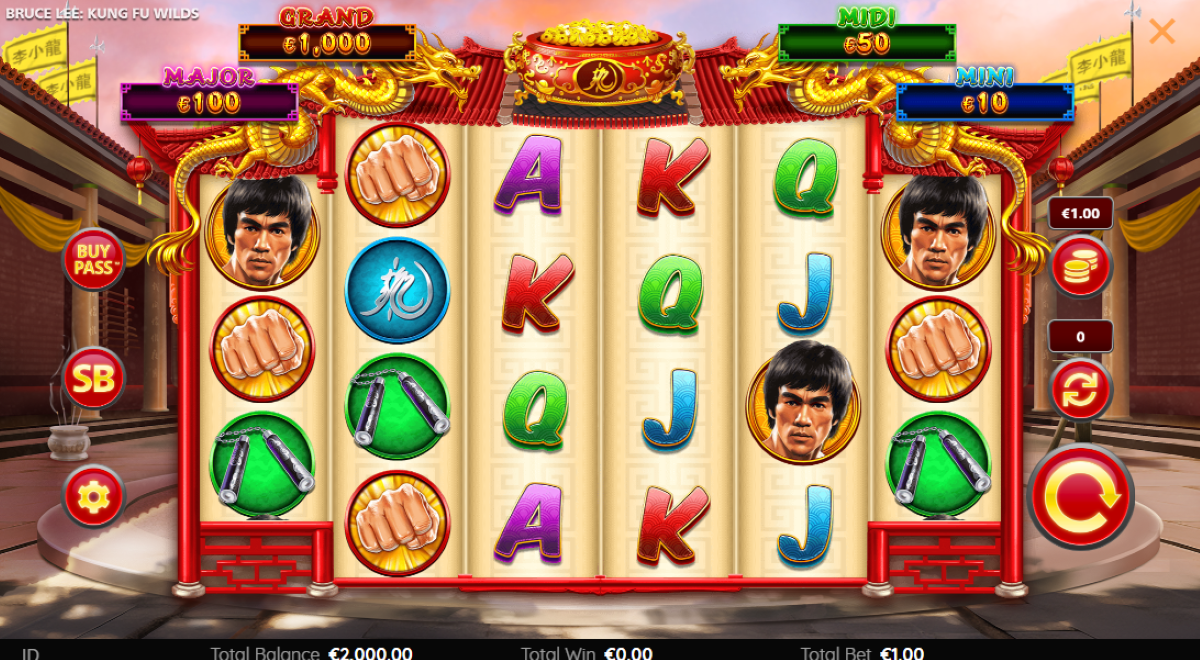 Bruce Lee Kung Fu Wilds base game