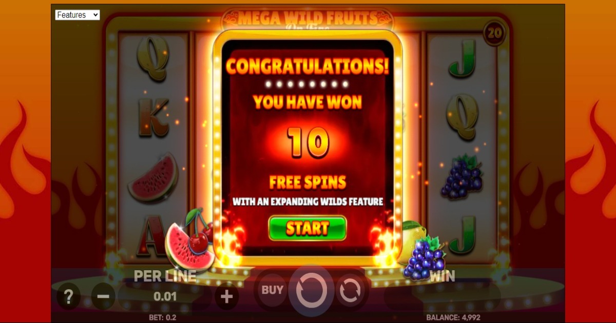 Mega Wild Fruits - On Fire Slot free spins