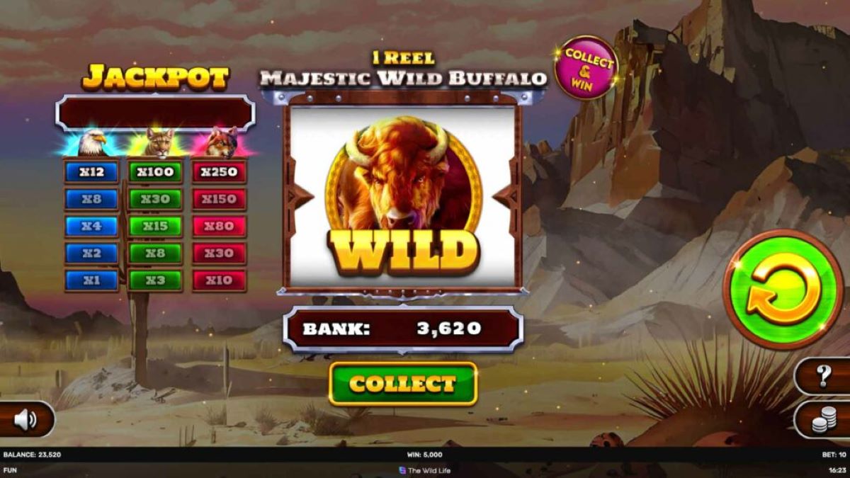 1 Reel - Majestic Wild Buffalo Wild