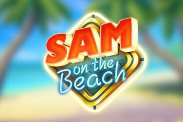 Sam on the Beach