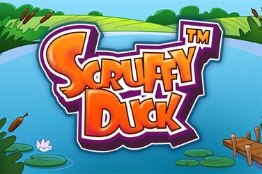 Scruffy Duck