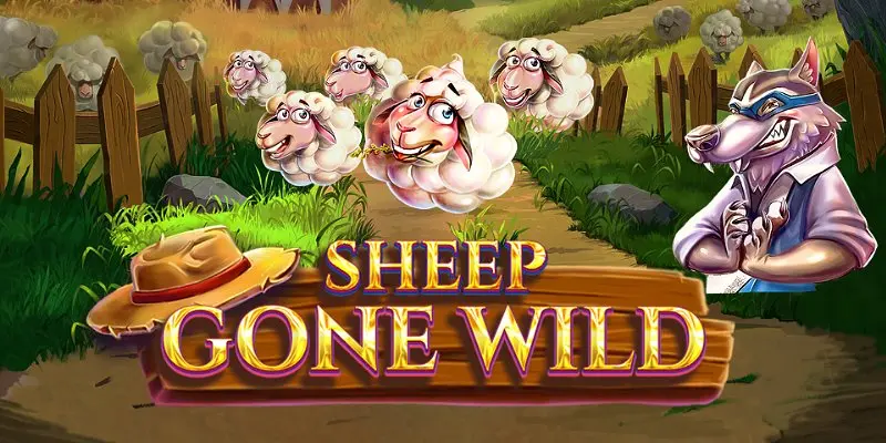 Sheep Gone Wild