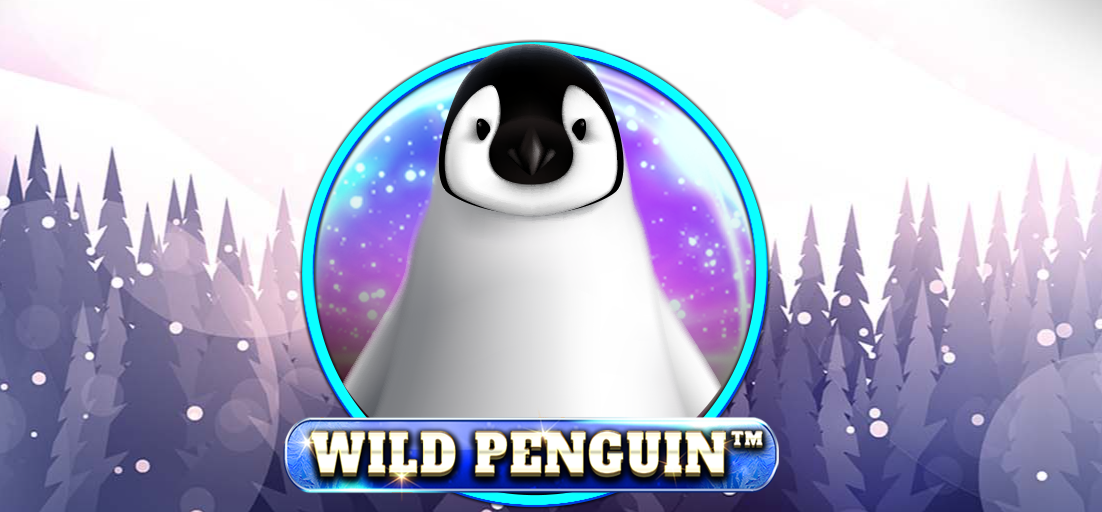 Wild Penguin