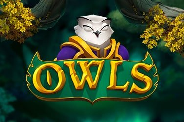 Owls Slot Game