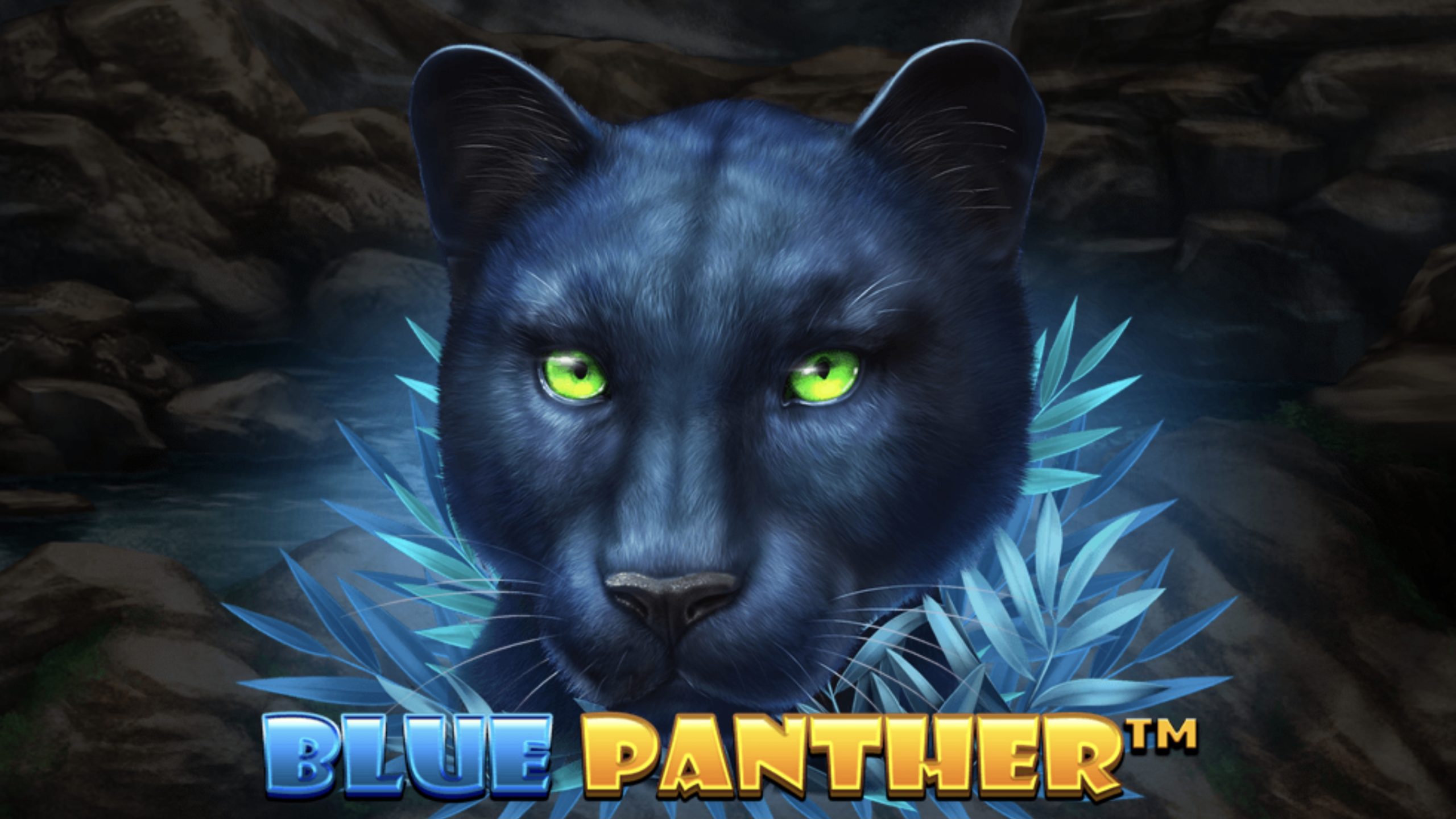 Blue Panther : A Game That's Sure to Keep You Entertained