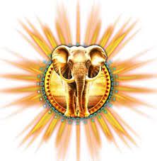 Try Your Luck in the Elefant Slot Game for a Chance to Win Big Prizes