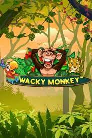 Wacky Monkey: A Game That's Sure to Keep You Entertained
