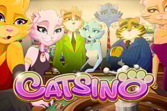 Catsino is a Fun and Exciting Casino Game!