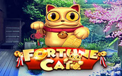 Experience the Fun of Fortune Cat
