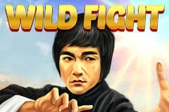 Discover the Fundamentals of the Wild Fight Slot Game