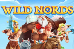 Wild Nords slot : How to Increase Your Chances of Winning