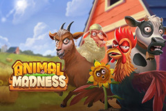 Animal Madness Slot Game - The Exciting Way to Gamble