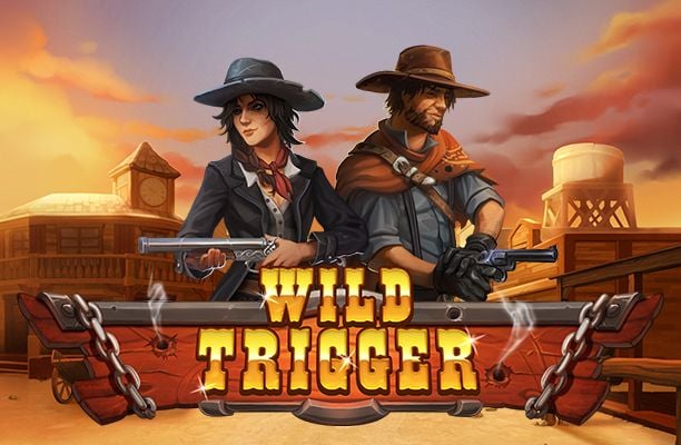 Wild Trigger : The Slot Game That Pays Out Big