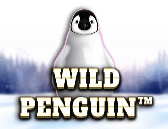 Wild Penguin is a Nature-Themed slot that Provides Big Prizes