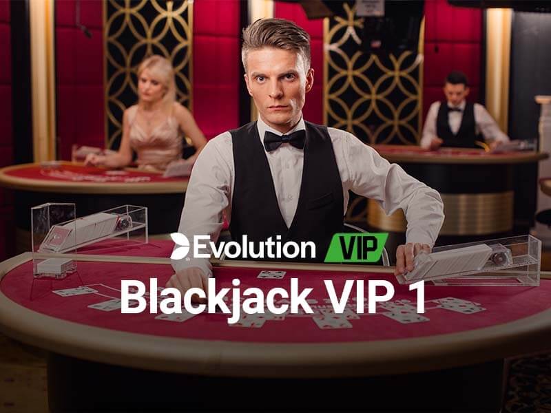 Blackjack VIP 1 - A Great Way to Spend Your Time!