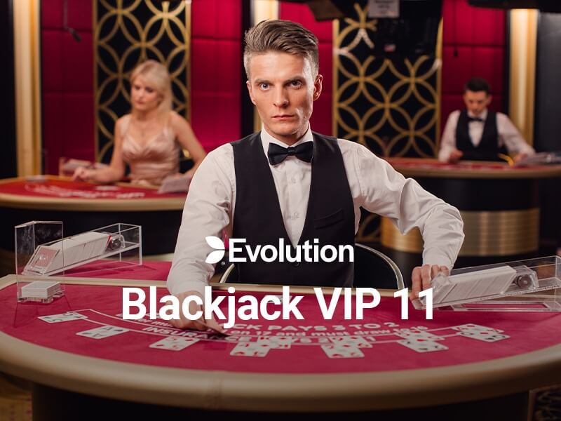 Blackjack VIP 11 : The Perfect Online Casino Game for Fun and Profit