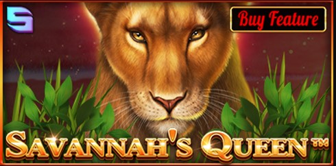 Savannah's Queen Slot Game – A Fun and Easy Way to Win Money!