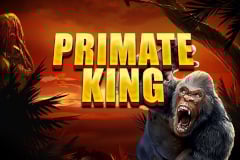 Primate King Slot Game Offers Exciting Prize Opportunities