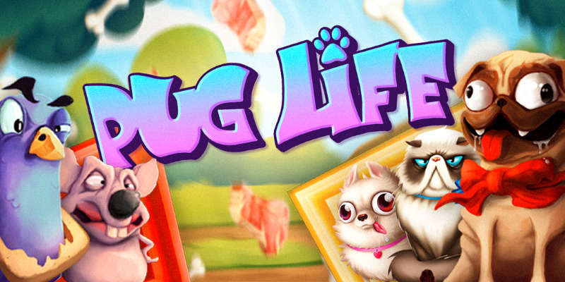 5 Secrete Tips for Winning the Pug Life slot game