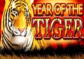 Year Of The Tiger - Slot Game Review