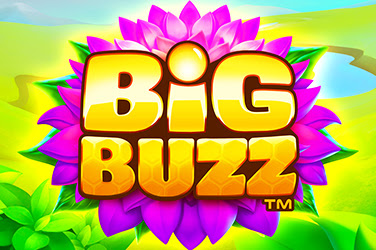 Big Buzz  - Slot Game Review