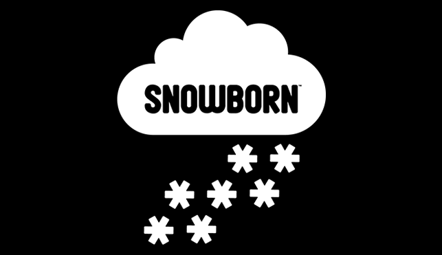 Snowborn Studios Provides Great Online Casino Games