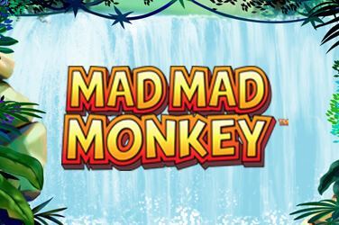 Mad Mad Monkey Slot Game