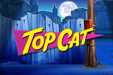Top Cat