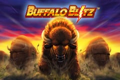 Buffalo Blitz - A Great Game for Anyone Who Enjoys Playing Online Slots!