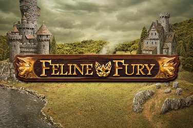 Feline Fury