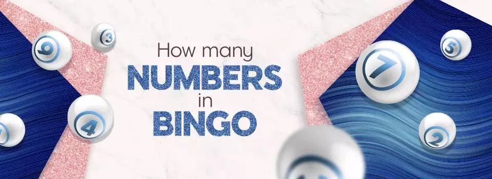 How Many Numbers are there in Bingo